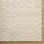 Ventura Hand Knotted Area Rug-2142118867