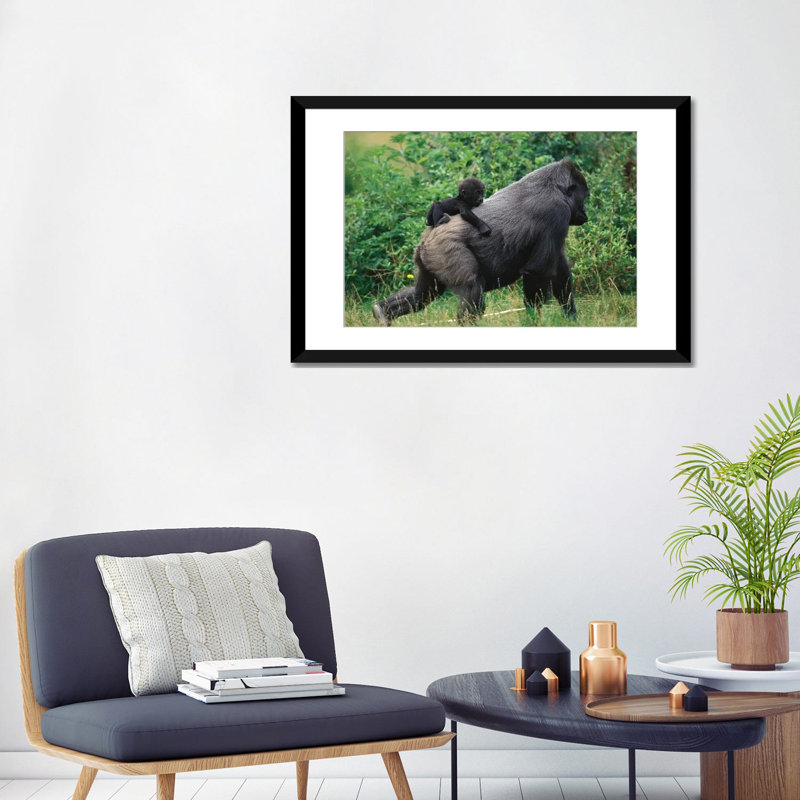 Reproduction sur toile tendue d'un gorille de l'Ouest, Papier d'art encadré noir, Blanc, H 24 po x l 32 po x P 1 po