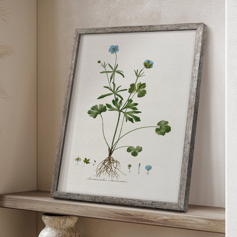 «Buttercup Study», reproduction encadrée - bois massif 47496, H 21 po x l 17 po