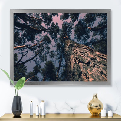 «Magic Landscape with Pine Tree And Dramatic Sky I», reproduction d'art sur toile tropicale