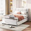 Lit plateforme tapissier avec lit gigogne polyvalent, pour les chambres d'amis et les petits espaces-121053881