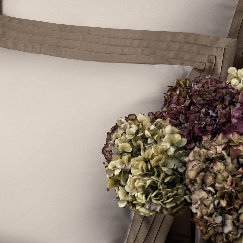 Eden Sham, Euro, Beige/Brown