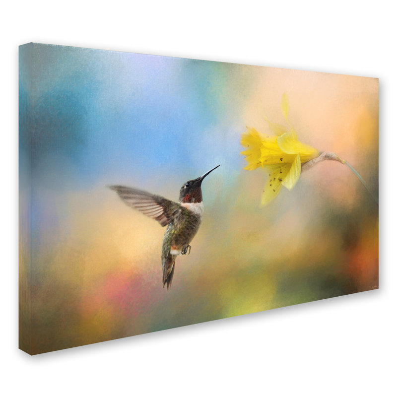 «Garden visiteur», impression sur toile tendue Vidur, H 22 po x l 32 po