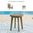 Demitrios Outdoor Round End Table