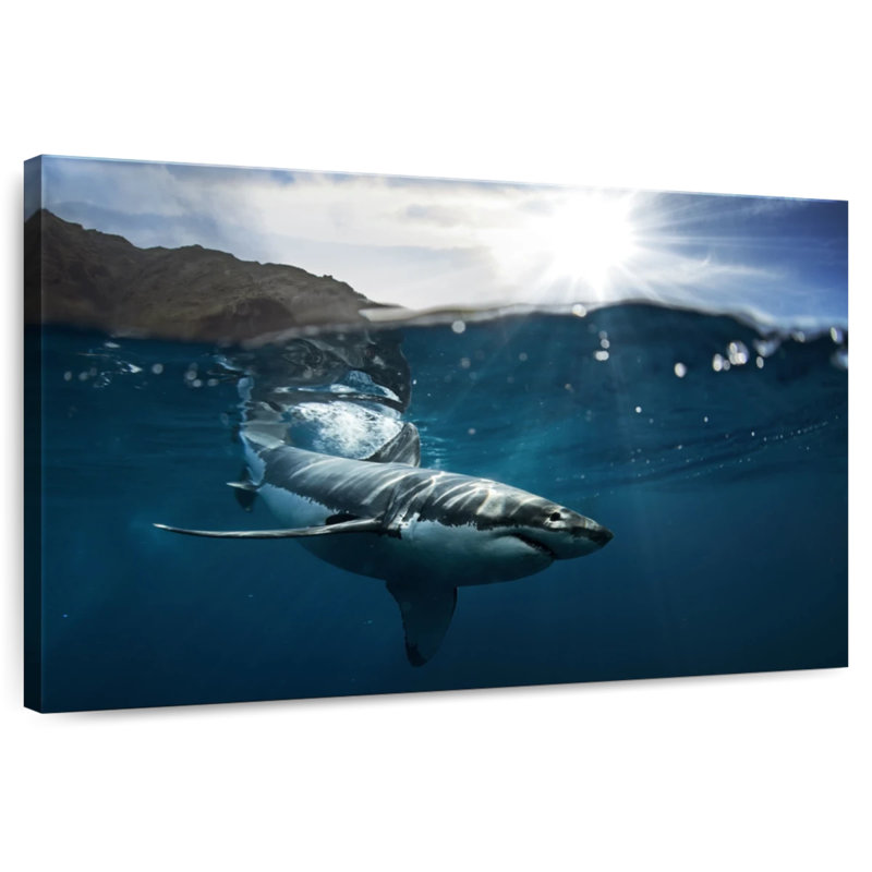 Brampt Shark Sunshine, 20" H x 30" W