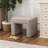 Mohinder Arch Upholstered Ottoman -1009735505