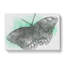 Mint Green Butterfly Art In Abstract - Wrapped Canvas-55308245