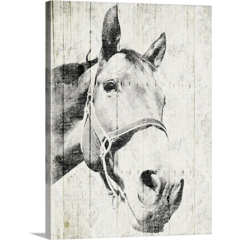 «Vintage Horse» par Jace Gray, reproduction sur toile, Toile tendue, H 40 po x l 30 po x P 1,25 po