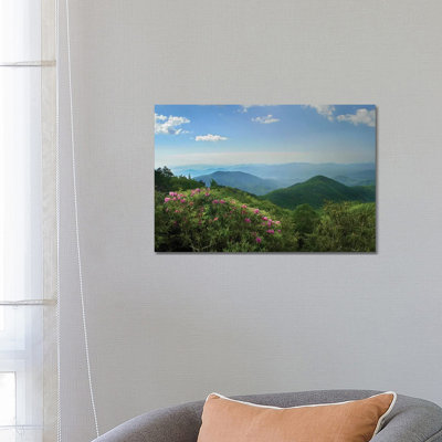 Rhododendron Tree Flowering At Craggy Gardens, Blue Ridge Parkway, North Carolina by Tim Fitzharris - Wrapped Canvas Print