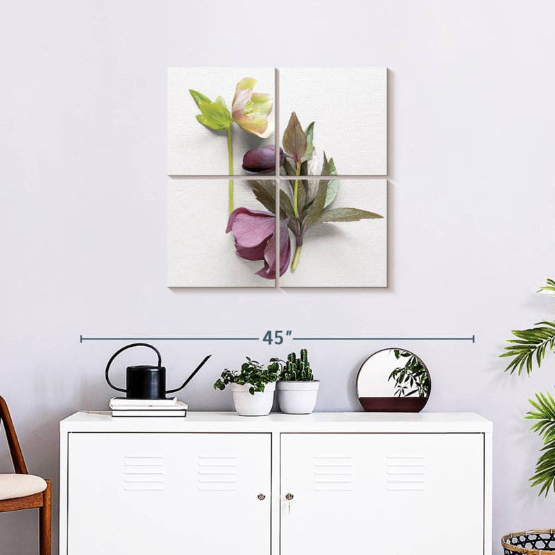 Hellebore Study III, H 26 po x l 26 po