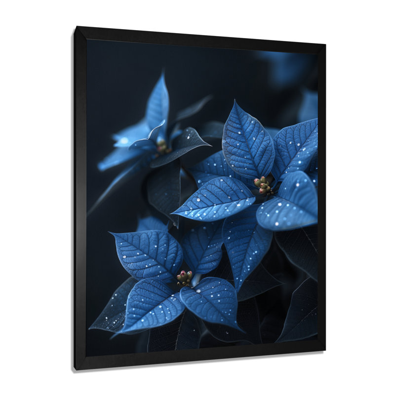 «Blue Poinsettias Nocturnal Nirvana» - impression d'art mural poinsettias, Impression noire sur toile encadrée