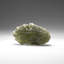 Genuine Moldavite Tektite (18.8 grams)-907418947