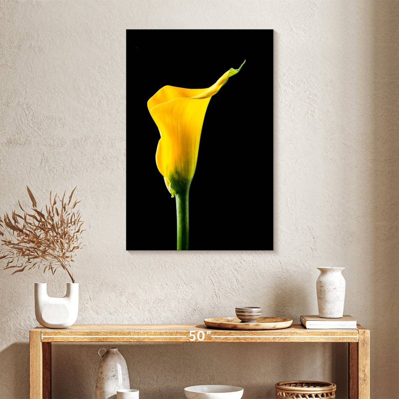 Harnek fleur de lys Calla, H 36 po x l 24 po