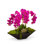 Orchid Floral Arrangement in Metal Planter