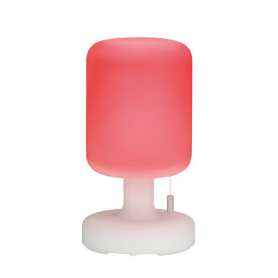 Moncheri USB Battery -operated Table Lamp Lamp