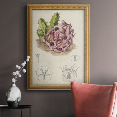" Antique Cactus III "