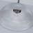 1-light Glass Dome Single Pendant-443813582