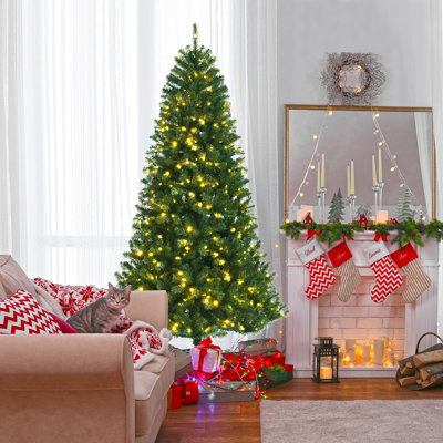 7' Lighted Spruce Christmas Tree