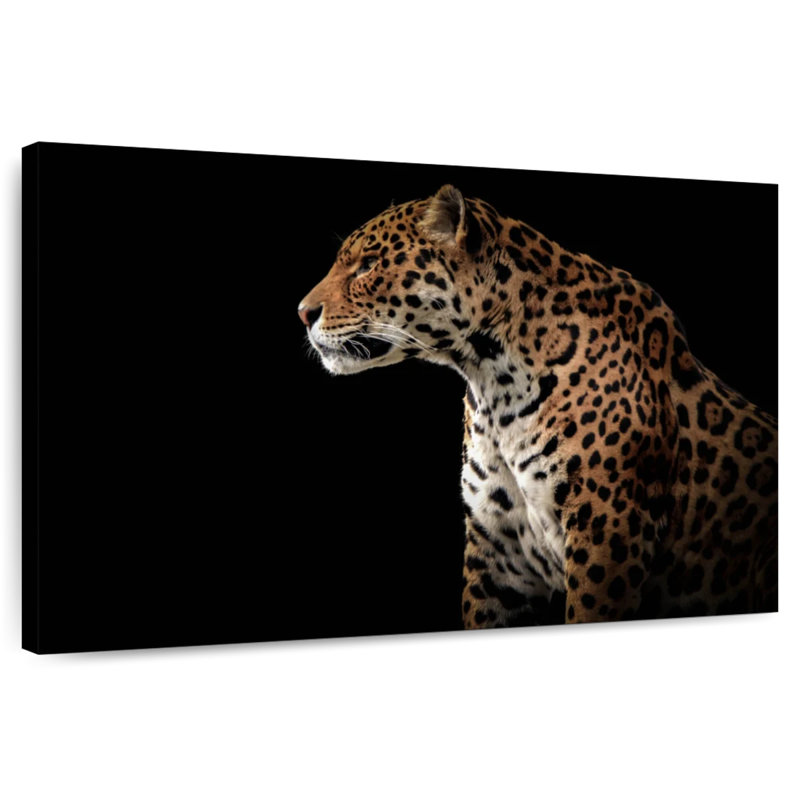 Brampt Midnight Jaguar, 8" H x 12" W
