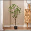 Bonsai artificiel 120 feuilles-196483729