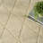 Ebern Designs Chatwin Beige Modern Wool Indoor Rug-296973194