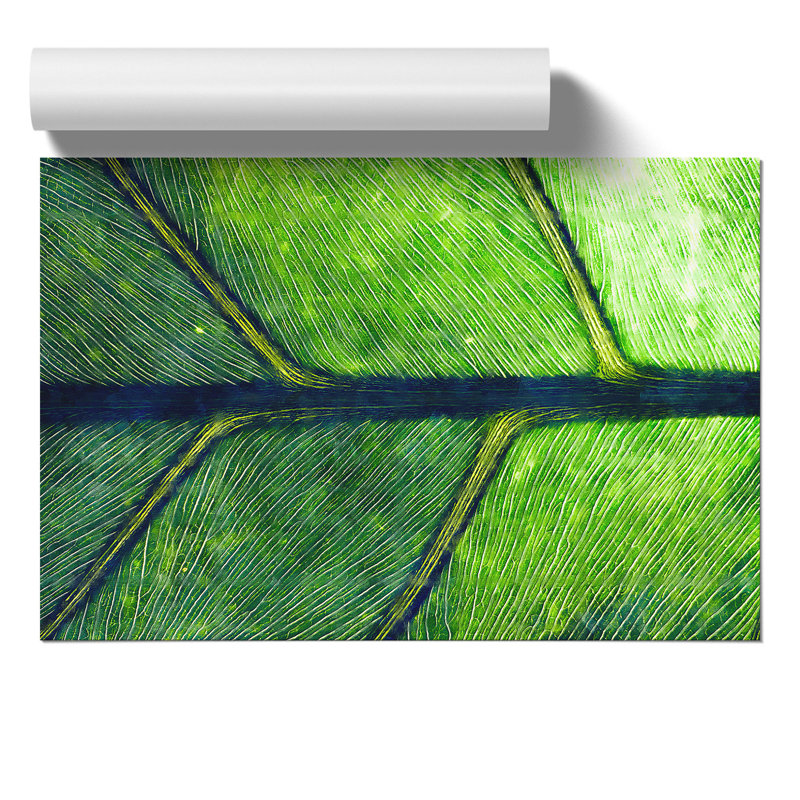 Leaf Detail - No Frame Print, 30cm H x 42cm W x 0.1cm D