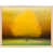 Maple Framed Paper selected