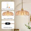 Luminaire suspendu à brancher-862596448