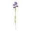 Plastic, Silk Artificial Arrangement