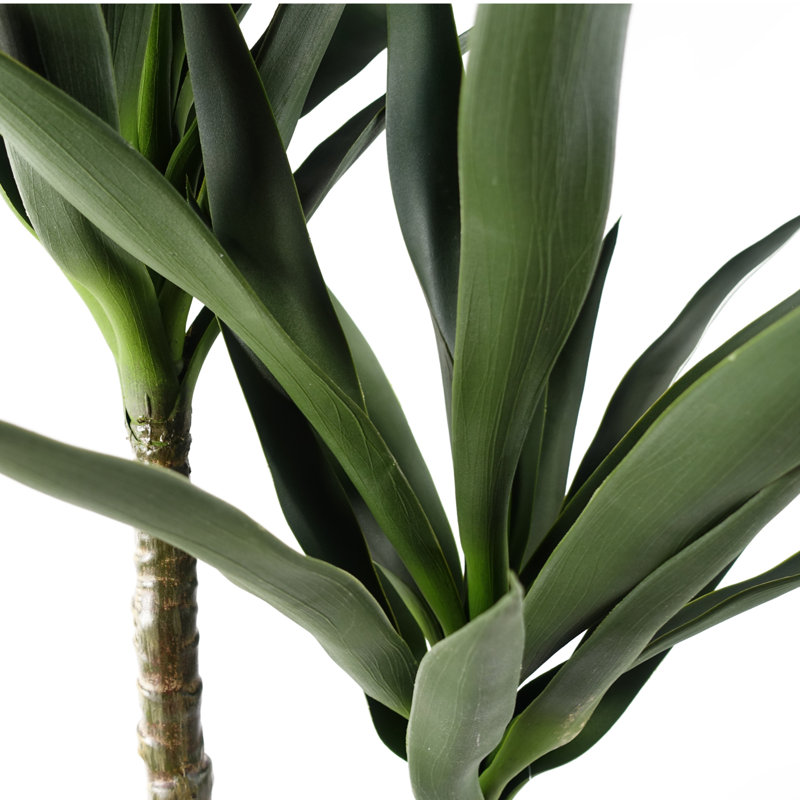 Annistyn 120cm Faux Yucca Tree in Pot