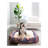 Rugs.com Premium Pet Bed Rug-100613957-110734654