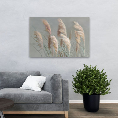 Pampas de jardin sur fond gris