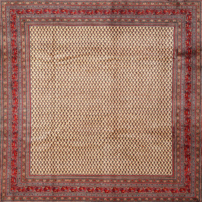 Oriental Indoor Rug