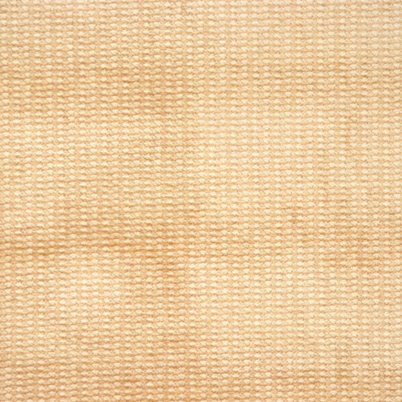 Rayonne / tissu viscose