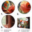 Dahmen - coquelicot, art mural-106098482-106098485