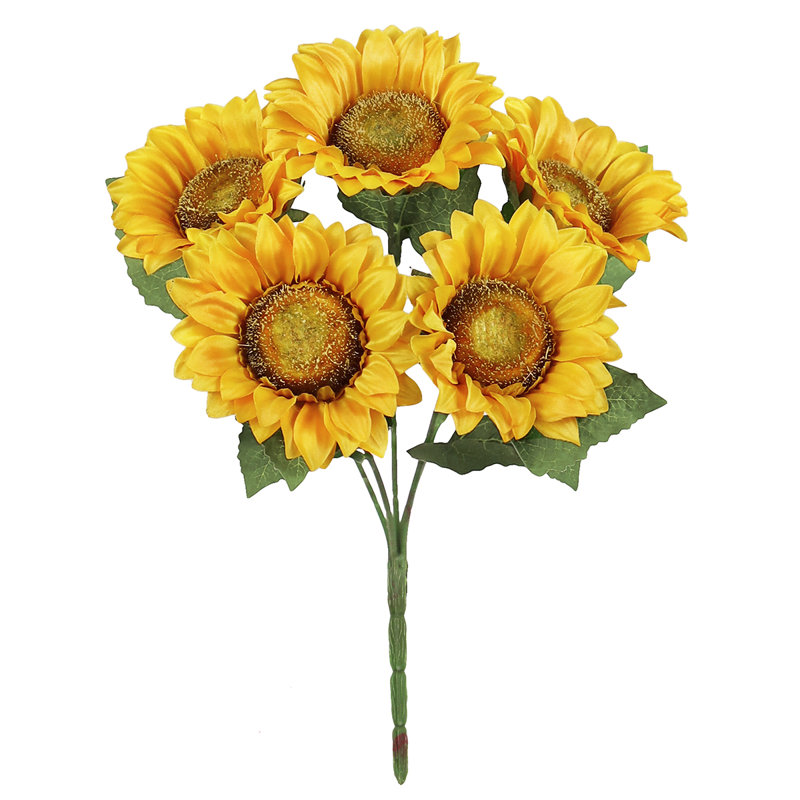 Tournesol