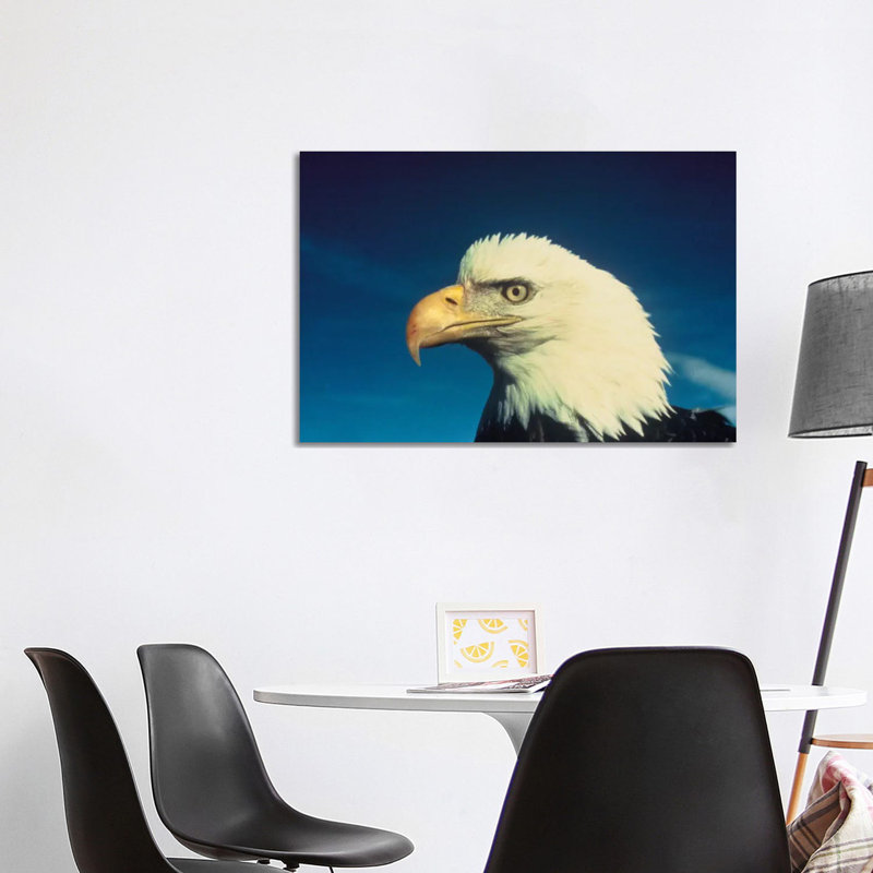Bald Eagle by Unknown Artist - Wrapped Canvas Print, 66.04 cm H x 45.72 cm W x 3.175 cm D