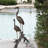 Two Herons Fountain