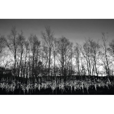 Watery Reflection - Wrapped Canvas Print