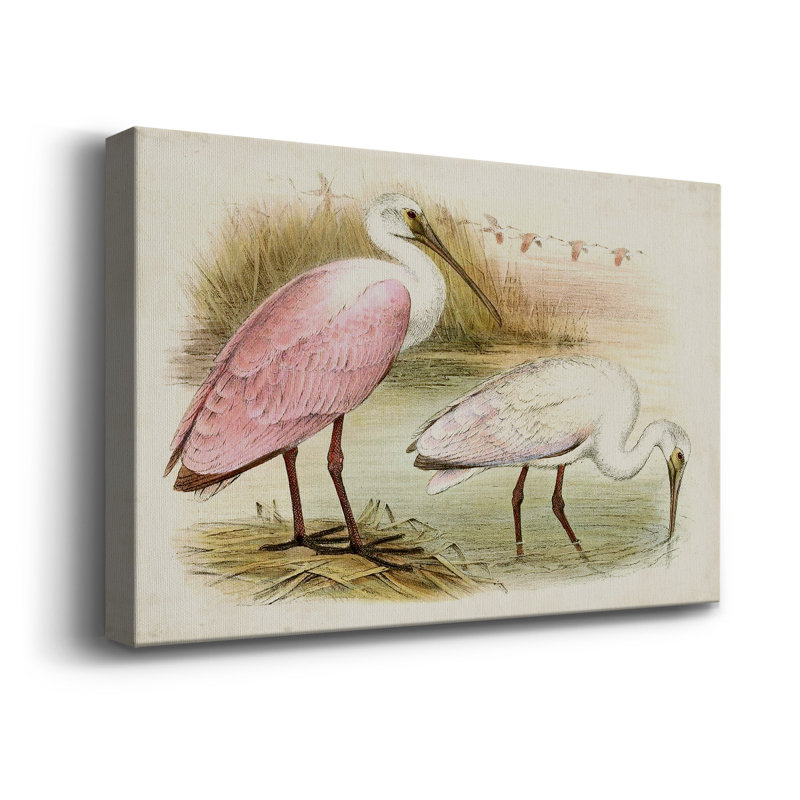 Roseat Spoonbills I - impression sur toile tendue, L 18 po x H 12 po