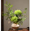 Arrangement floral Wabi Sabi