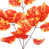 Orange / Jaune