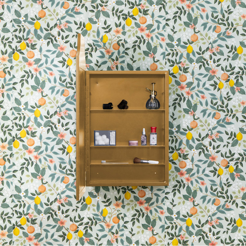 Simone Medicine Cabinet, Recess and Surface Mount,  Gold