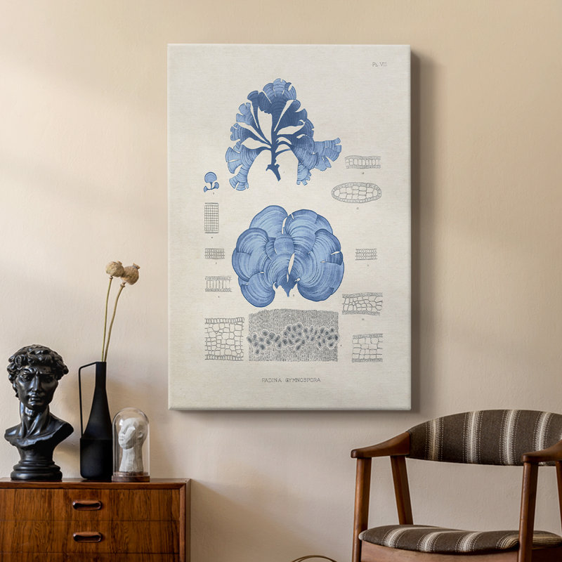 Blue Marine Algae IV - Gallery Cavas sur mesure, H 36 po x l 24 po
