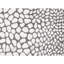Wool Area Rug