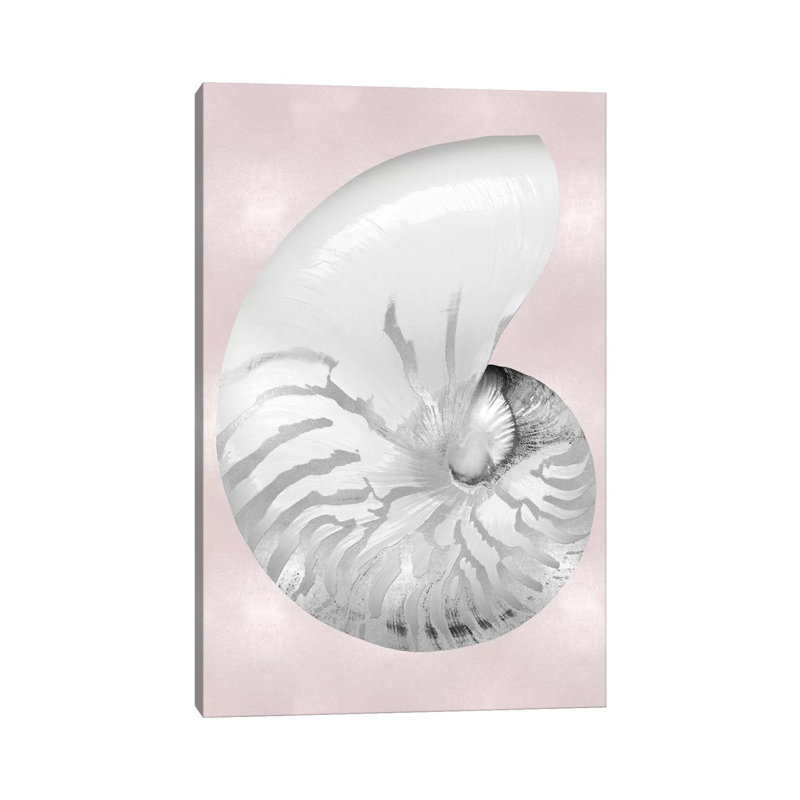 Silver Shell on Pink Blush II 1 Piece Wrapped Canvas Wall Art, 30.48 cm H x 45.72 cm W