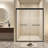 Double Sliding Shower Door-127317998