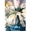 Parvez Taj - Wrapped Canvas Print-16672418