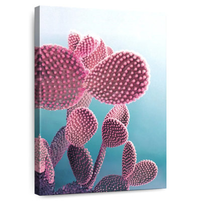 Harnek Candy Cactus