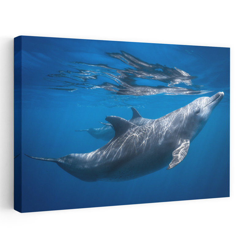 Swimming Dolphins Blue Ocean Peaceful Serene Dolphin Nature Ocean Wall Art Print by Barathieu Gabriel - Wrapped Canvas Print